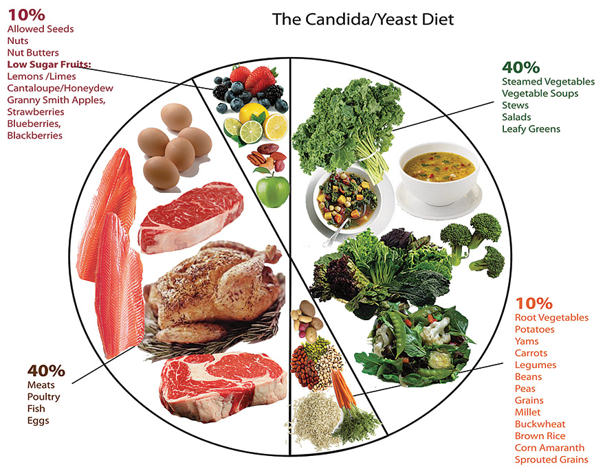 Dieta anti candida pdf