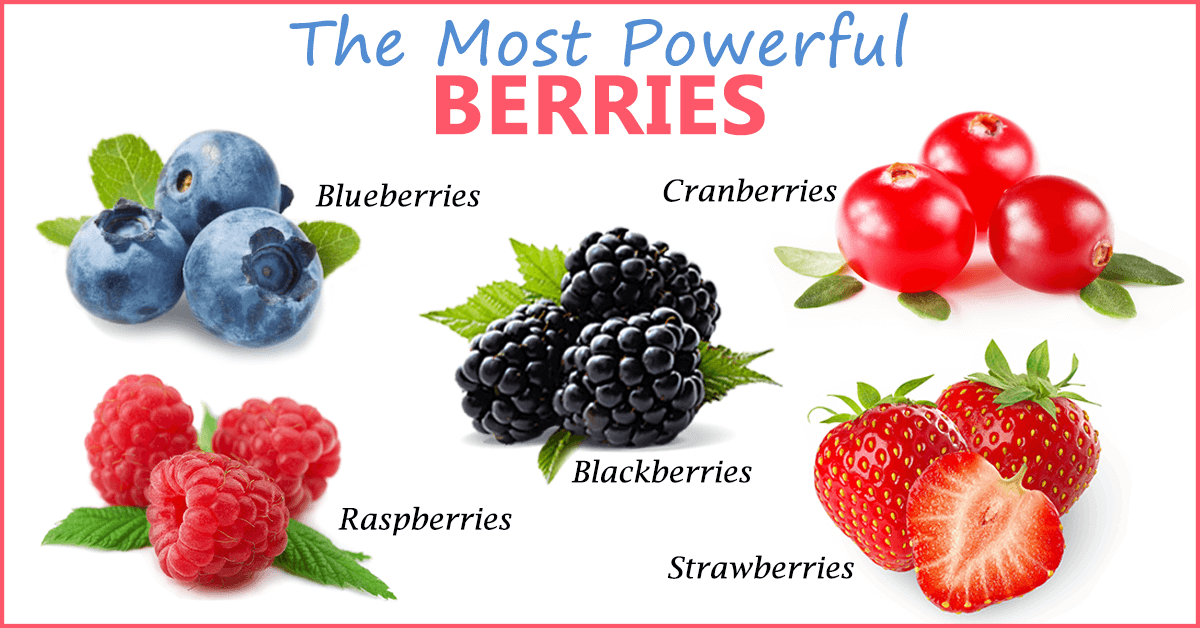 Тип ягоды. Types of Berries. Kinds of Berries. Все названия Berry. Names of Berries in English.